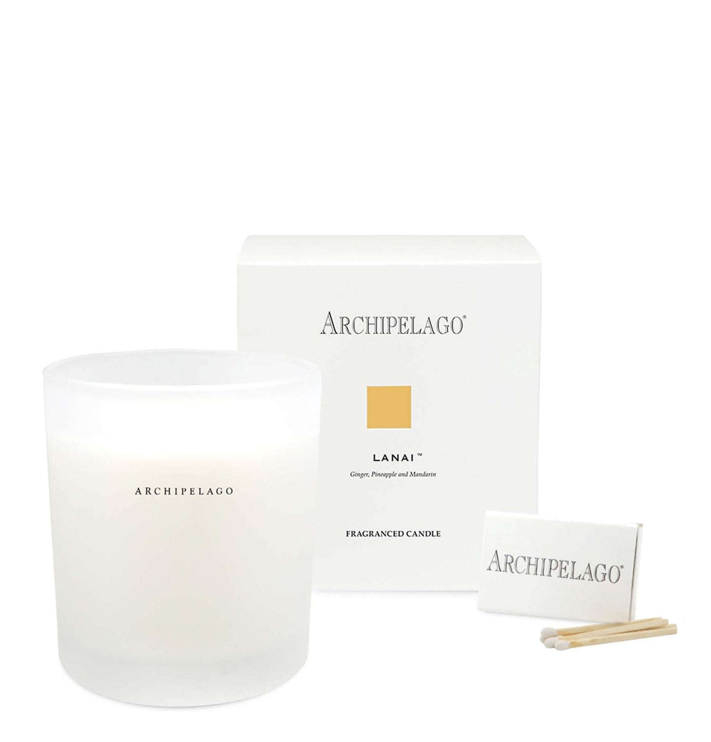 Archipelago Botanicals Scented Candle, Havana XL, Hand-Poured Premium Wax Blend, 3 Wick Candle for The Home, Lead-Free Cotton Wicks, Glass Candle Jar with Gift Box, Burns Approx. 60 Hours, 10 Oz