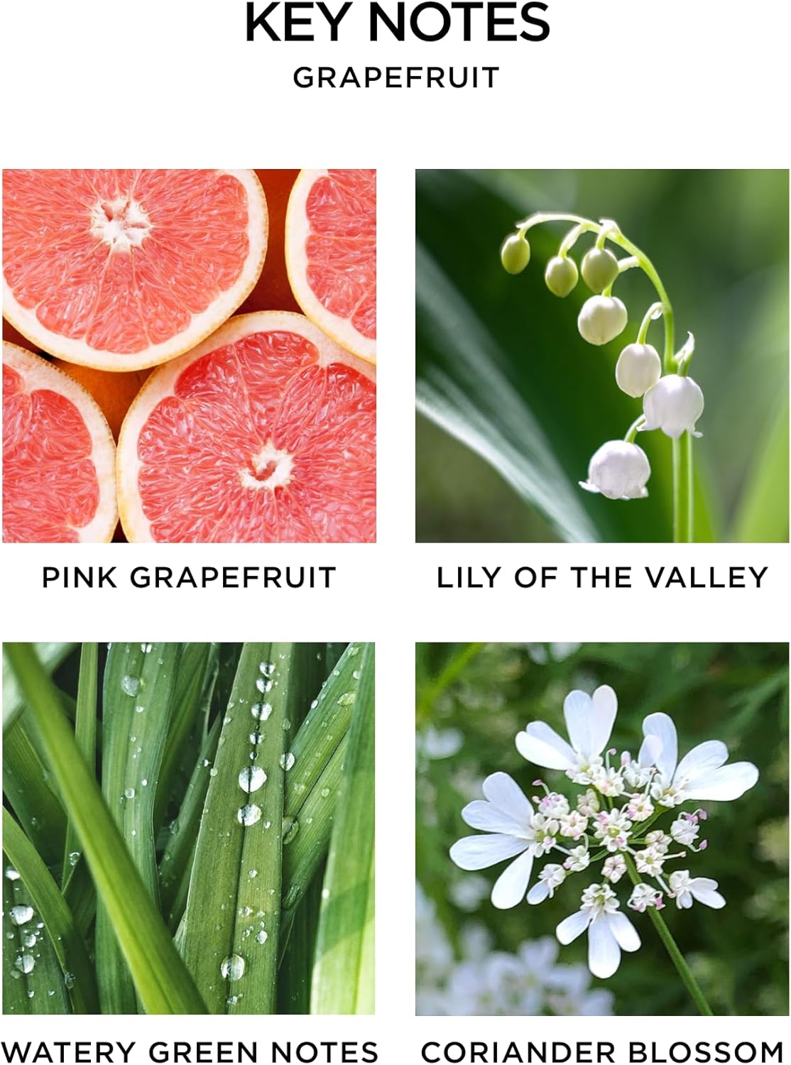 NEST New York Scented 3-Wick Candle Duo - Bamboo & Grapefruit, 21.2 oz, Pack of 2 - Up to 100-Hour Burn Time - Reusable Glass Vessel