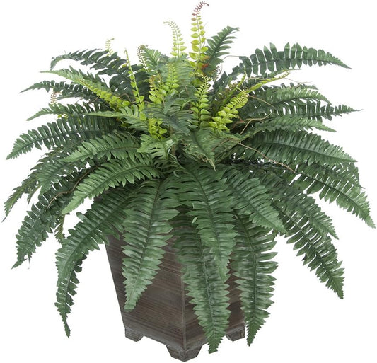 House of Silk Flowers Artificial Fern in Small Grey-Washed Wood Planter