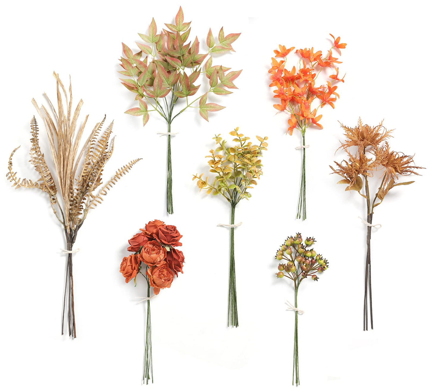 Serra Flora Natural Dried Pampas Eucalyptus Rabbit Tail Grass,(Pack of 66pcs) with 6 Kinds of DIY Bridal Artificial Bouquets Home Decor Wedding Floral Arrangement Table Centerpieces
