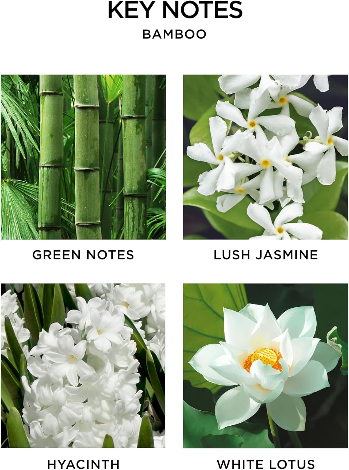 NEST New York Scented 3-Wick Candle Duo - Bamboo & Grapefruit, 21.2 oz, Pack of 2 - Up to 100-Hour Burn Time - Reusable Glass Vessel