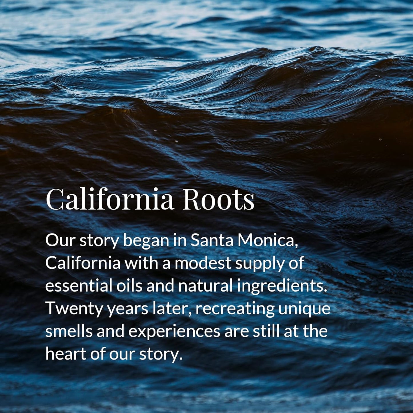 Archipelago Botanicals Scented Candle, Havana XL, Hand-Poured Premium Wax Blend, 3 Wick Candle for The Home, Lead-Free Cotton Wicks, Glass Candle Jar with Gift Box, Burns Approx. 60 Hours, 10 Oz