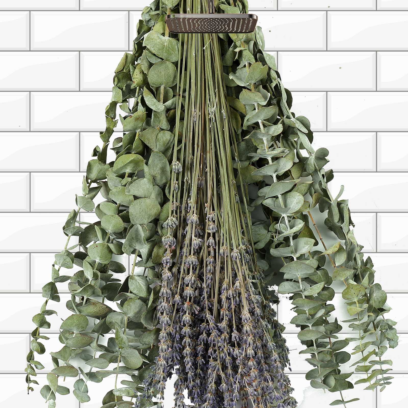 Dried Eucalyptus Leaves Real Greenery Stems, Fresh Eucalyptus Garland Branches for Shower, Eucalyptus Plant Live Bundle Green Leaves for Wedding Wreath Party Home Fragrance Vase Decor